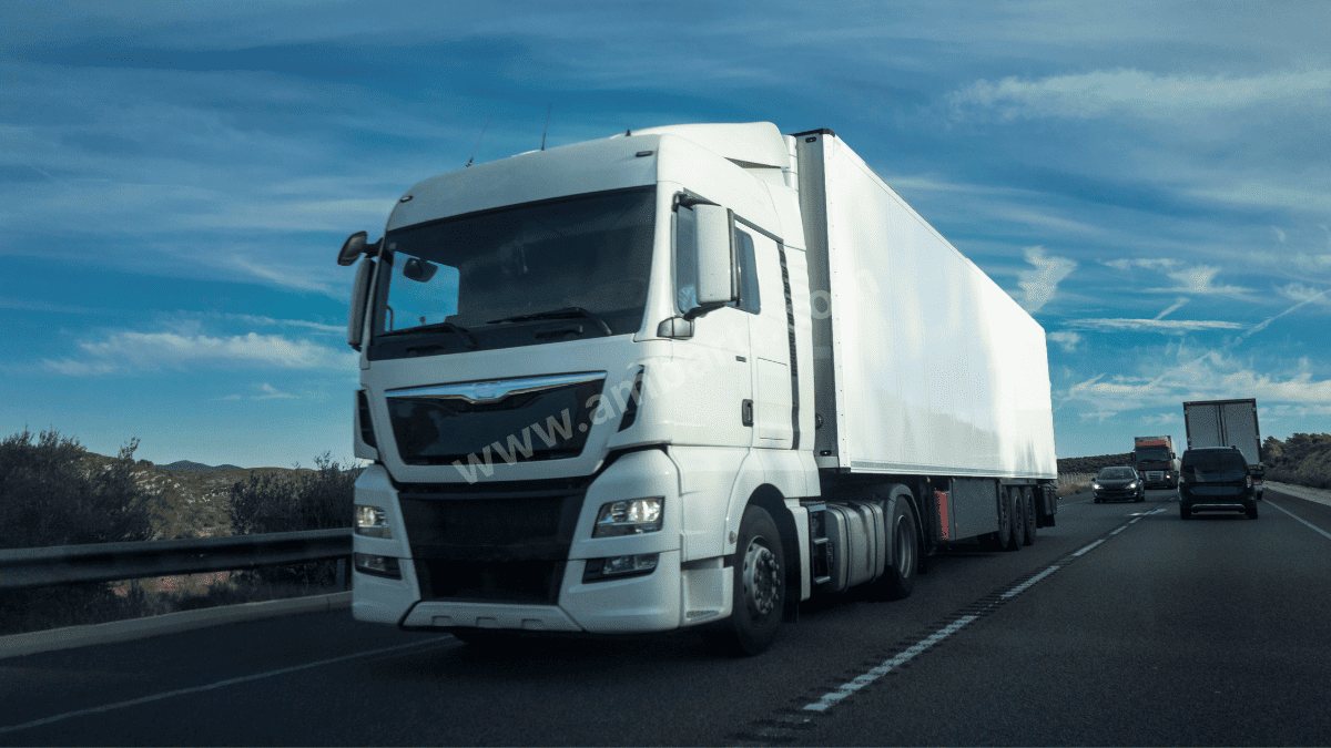 Pazaryolu Şehirler Arası Taşıma